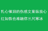 扎心催泪的伤感文案纵我心红如铁也难融你三尺寒冰