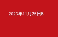 20231125B